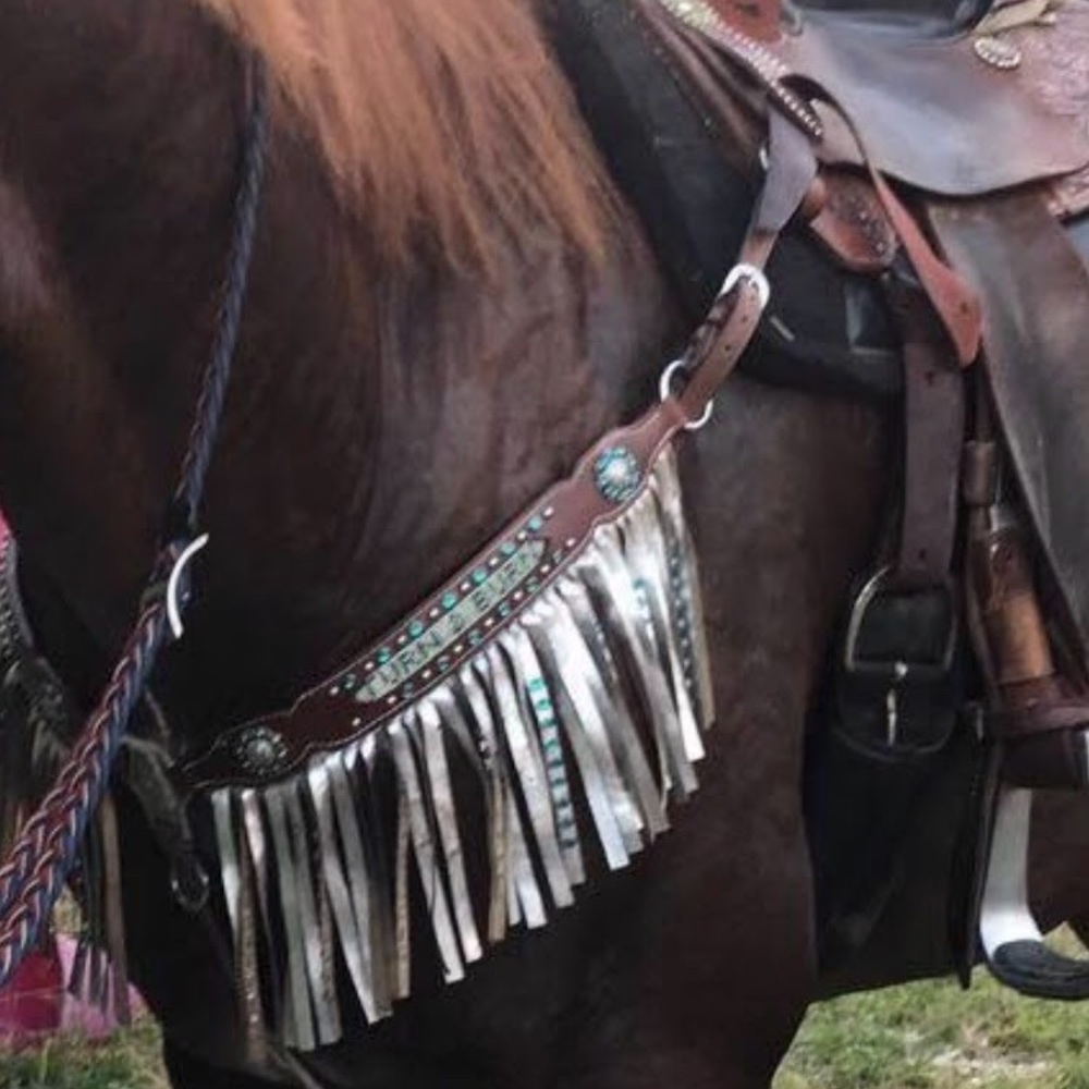 Fringe Tack Set - Picture 2 of 2